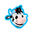 FIM